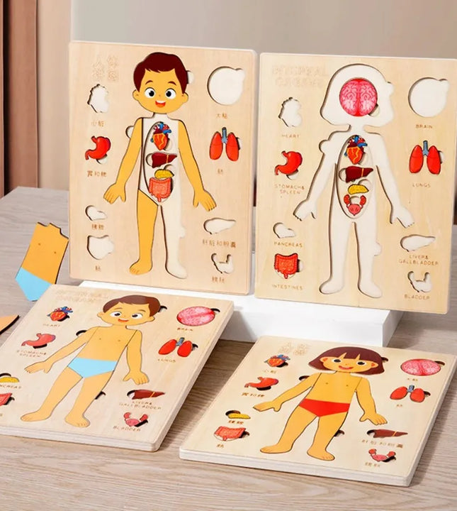 Puzzle Montessori Corps Humain – Jeu Éducatif Enfant